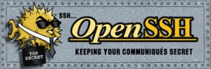 openssh-server